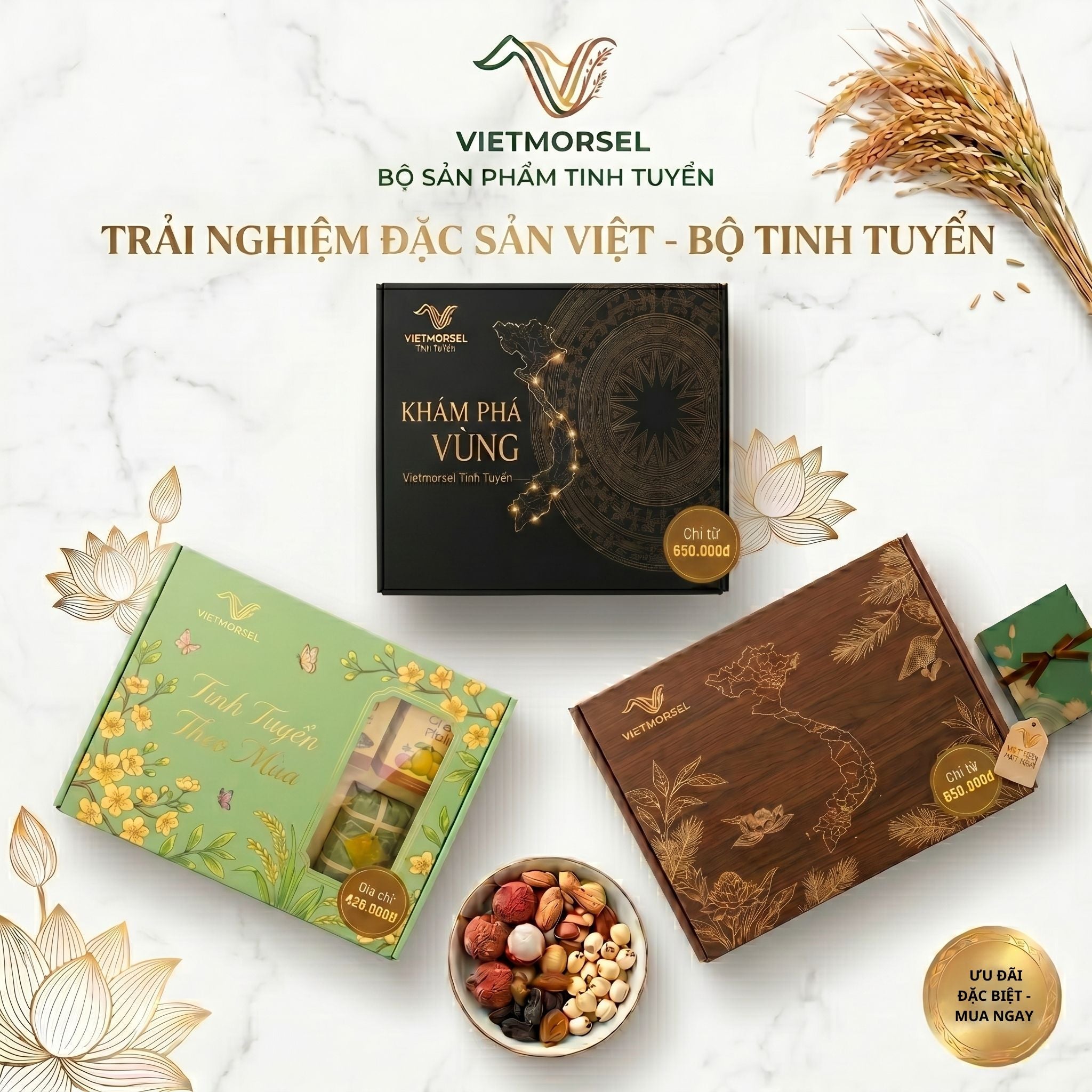 Vietmorsel Tinh Tuyển
