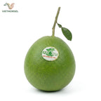 Bưởi Tân Triều