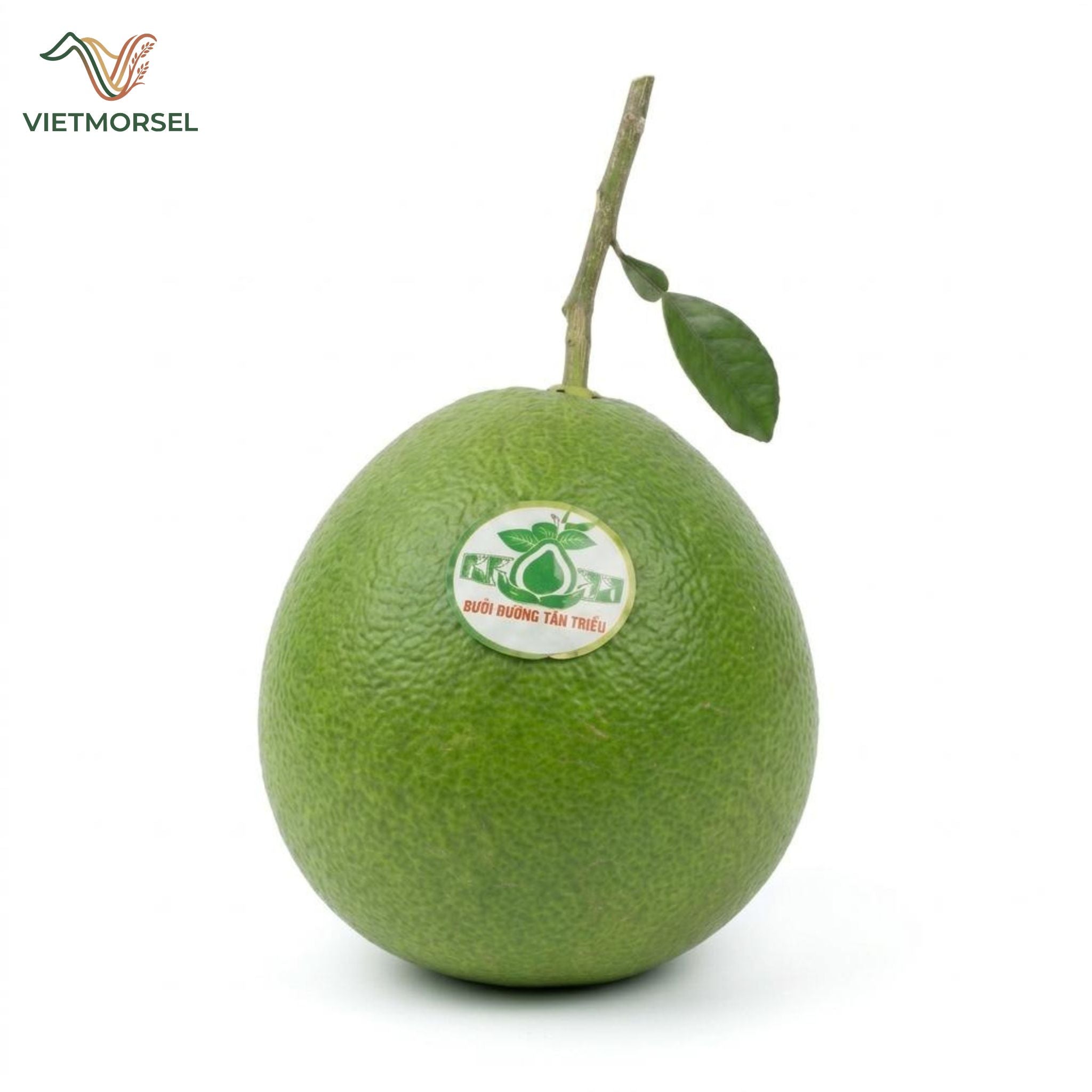 Bưởi Tân Triều