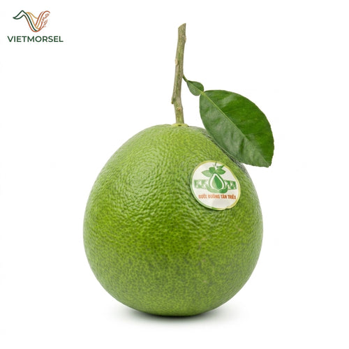 Bưởi Tân Triều